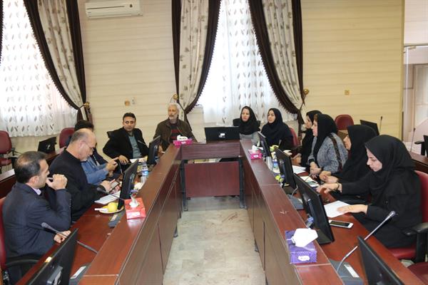 تشکیل جلسه کمیته  استانی IDD