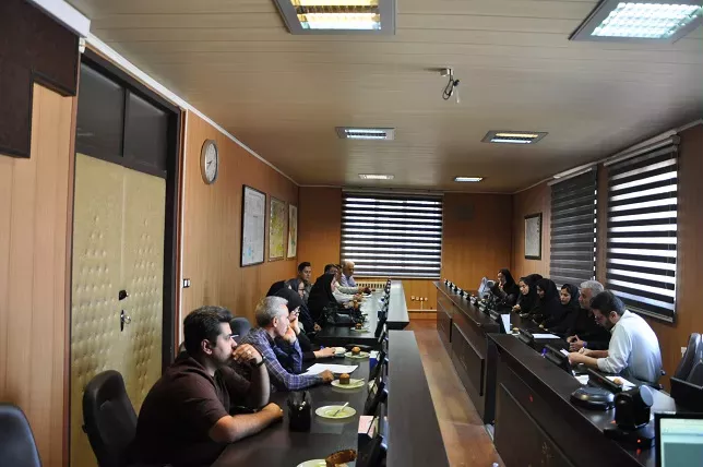 بیماریها  3